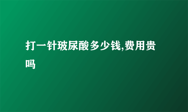 打一针玻尿酸多少钱,费用贵吗