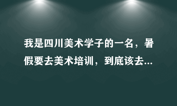 我是四川美术学子的一名，暑假要去美术培训，到底该去哪里？求师姐师哥们指点呀， 跪求了，这关系我一生。