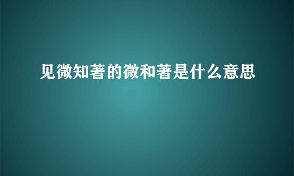 见微知著的微和著是什么意思