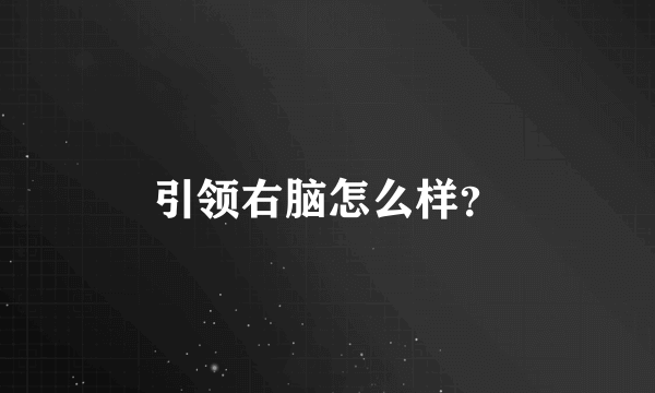 引领右脑怎么样？