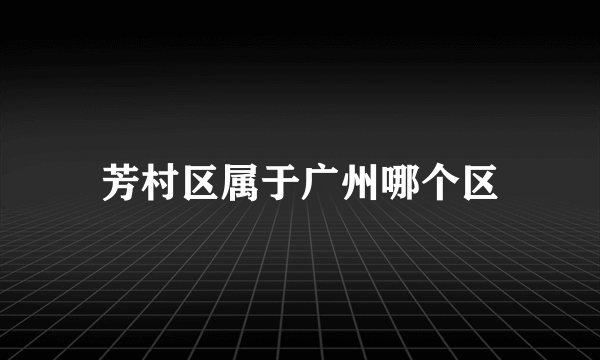 芳村区属于广州哪个区