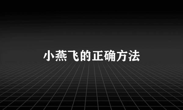 小燕飞的正确方法