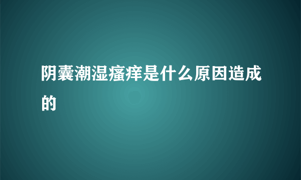 阴囊潮湿瘙痒是什么原因造成的