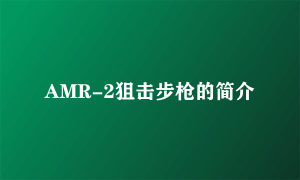 AMR-2狙击步枪的简介