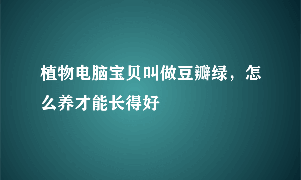 植物电脑宝贝叫做豆瓣绿，怎么养才能长得好