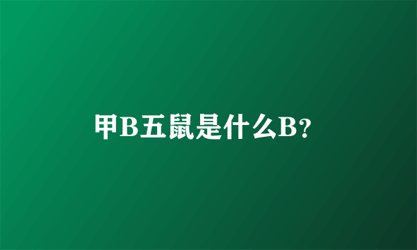 甲B五鼠是什么B？