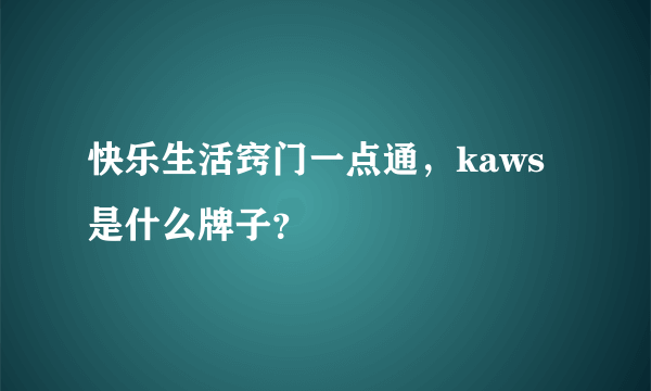 快乐生活窍门一点通，kaws是什么牌子？