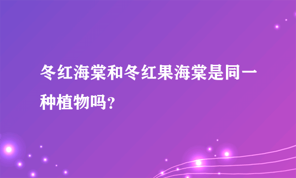 冬红海棠和冬红果海棠是同一种植物吗？