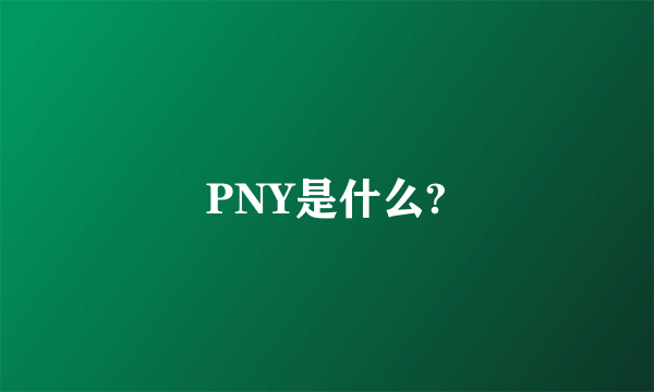 PNY是什么?