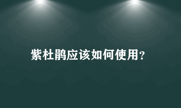 紫杜鹃应该如何使用？