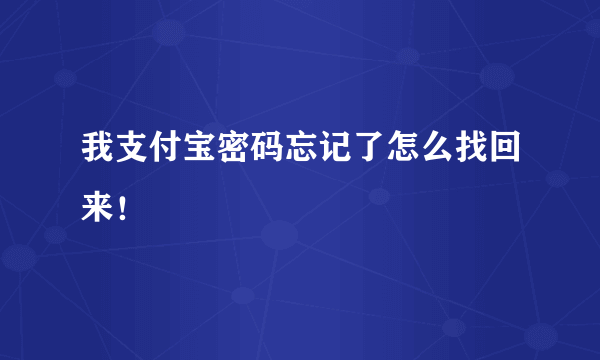 我支付宝密码忘记了怎么找回来！