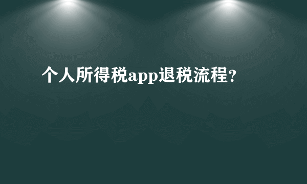 个人所得税app退税流程？