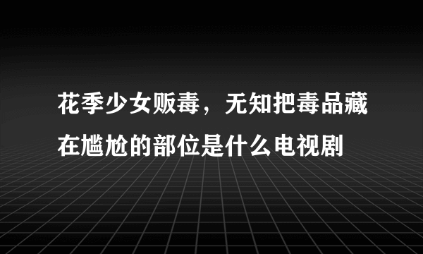 花季少女贩毒，无知把毒品藏在尴尬的部位是什么电视剧