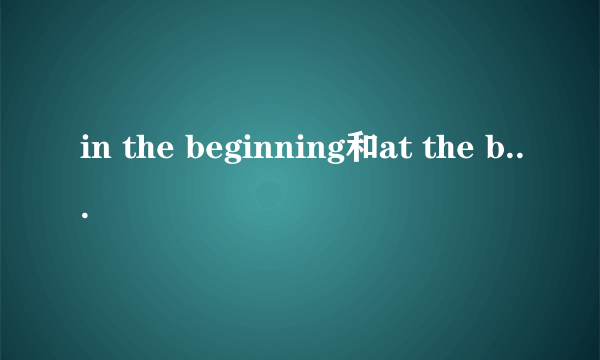 in the beginning和at the beginning的区别