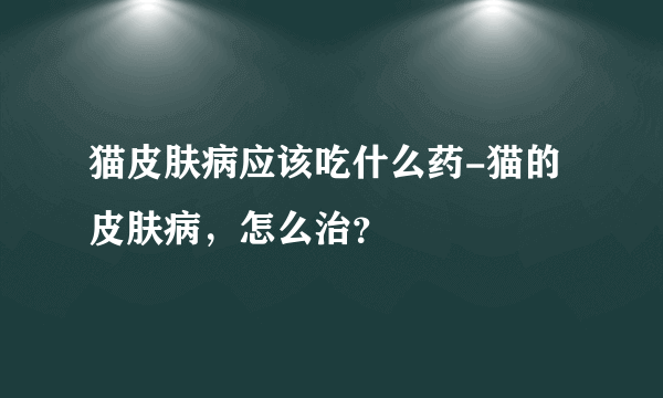 猫皮肤病应该吃什么药-猫的皮肤病，怎么治？