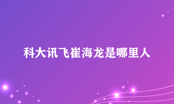 科大讯飞崔海龙是哪里人