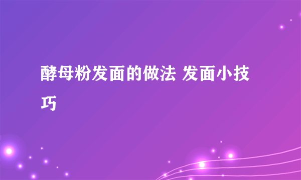 酵母粉发面的做法 发面小技巧