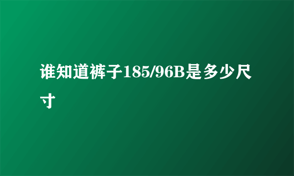 谁知道裤子185/96B是多少尺寸