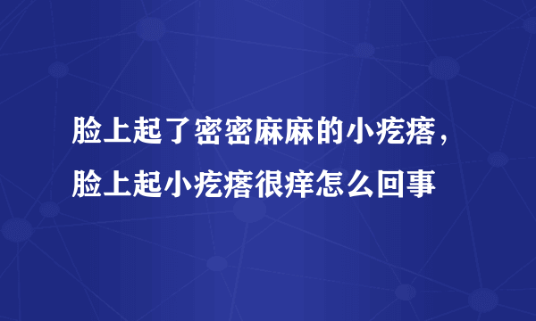 脸上起了密密麻麻的小疙瘩，脸上起小疙瘩很痒怎么回事