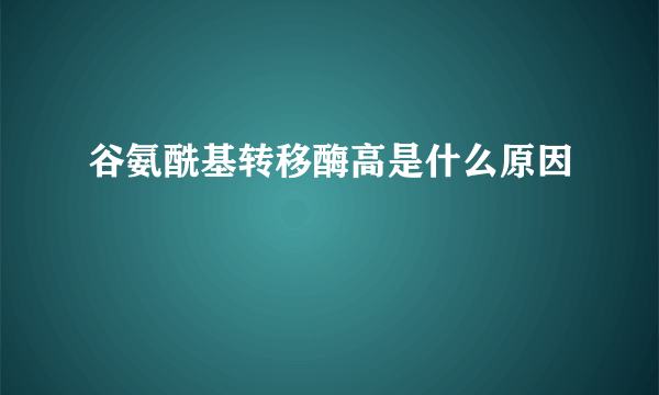 谷氨酰基转移酶高是什么原因