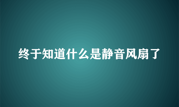 终于知道什么是静音风扇了