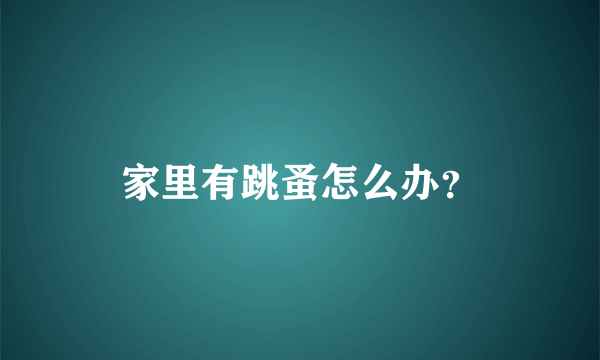 家里有跳蚤怎么办？