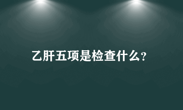 乙肝五项是检查什么？