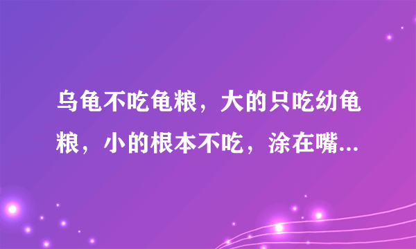 乌龟不吃龟粮，大的只吃幼龟粮，小的根本不吃，涂在嘴上也不吃，该怎么办？