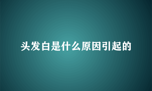 头发白是什么原因引起的