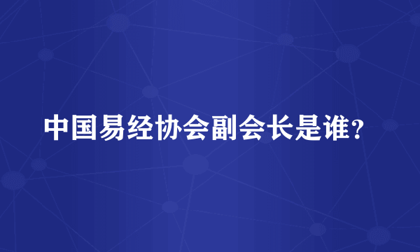 中国易经协会副会长是谁？