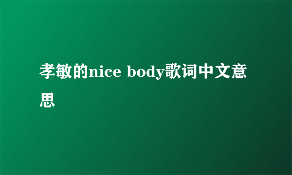 孝敏的nice body歌词中文意思