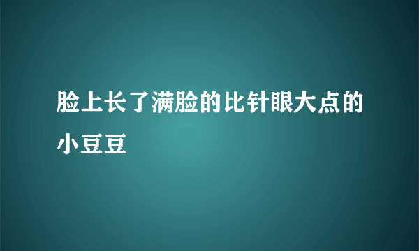 脸上长了满脸的比针眼大点的小豆豆