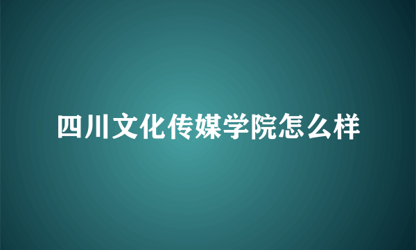 四川文化传媒学院怎么样