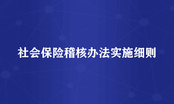 社会保险稽核办法实施细则