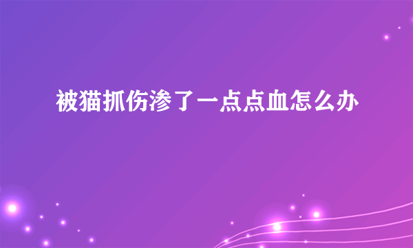 被猫抓伤渗了一点点血怎么办