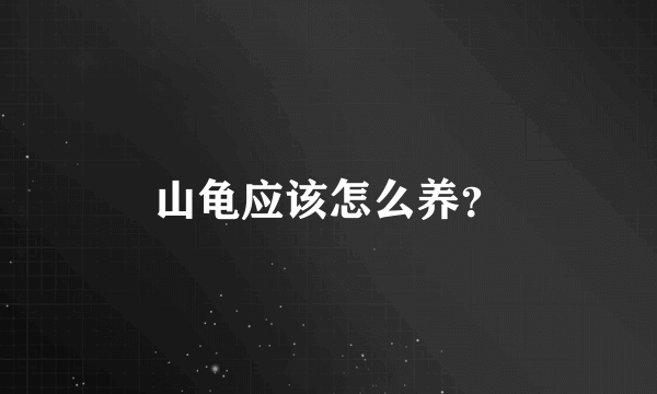 山龟应该怎么养？