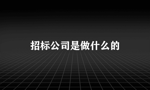 招标公司是做什么的