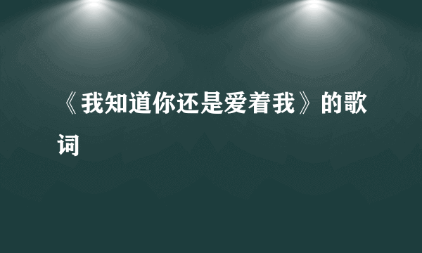 《我知道你还是爱着我》的歌词