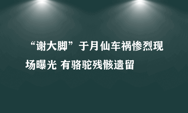 “谢大脚”于月仙车祸惨烈现场曝光 有骆驼残骸遗留