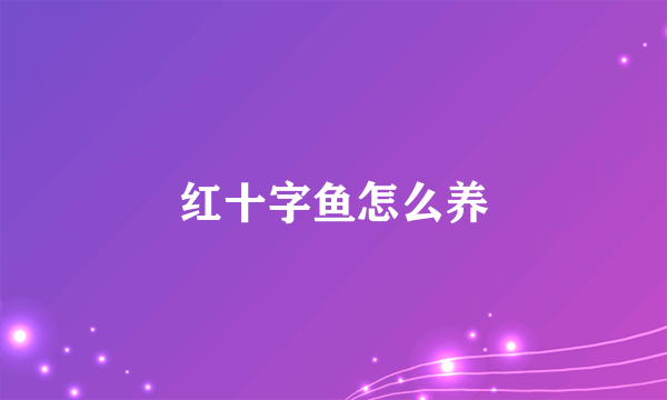 红十字鱼怎么养