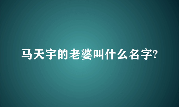 马天宇的老婆叫什么名字?