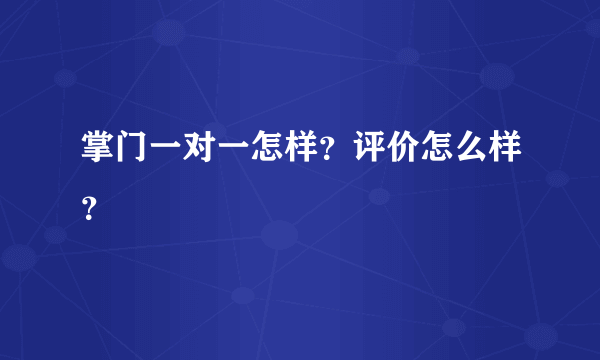 掌门一对一怎样？评价怎么样？