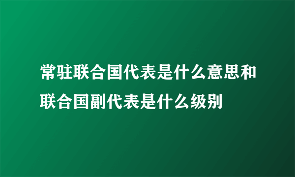 常驻联合国代表是什么意思和联合国副代表是什么级别