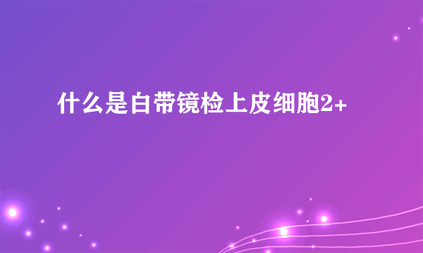 什么是白带镜检上皮细胞2+