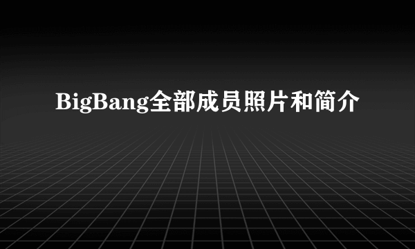 BigBang全部成员照片和简介