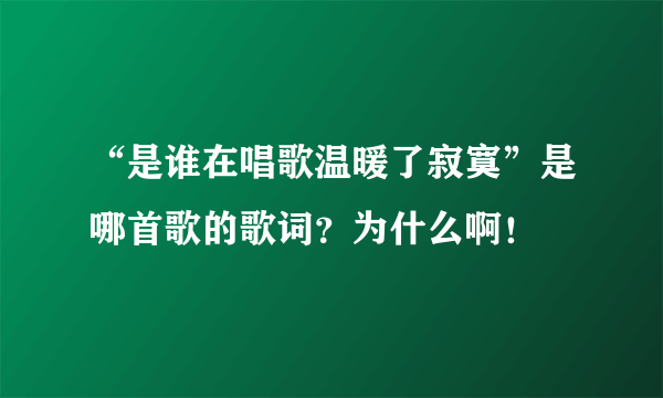 “是谁在唱歌温暖了寂寞”是哪首歌的歌词？为什么啊！