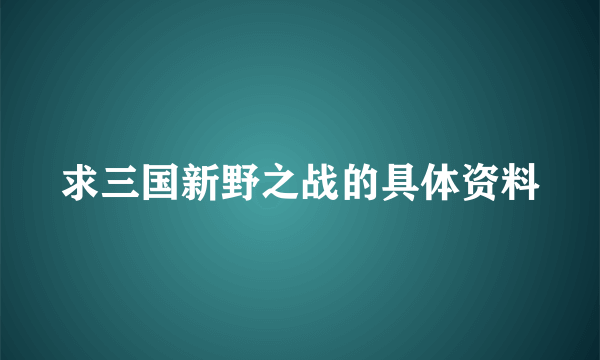 求三国新野之战的具体资料