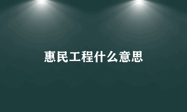 惠民工程什么意思