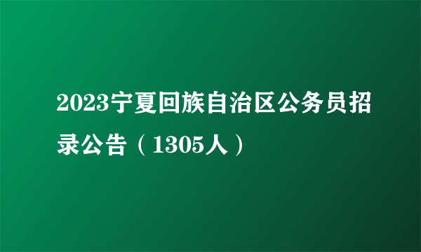 2023宁夏回族自治区公务员招录公告（1305人）