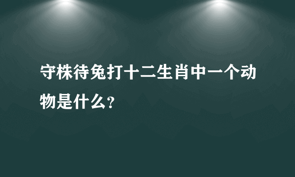 守株待兔打十二生肖中一个动物是什么？